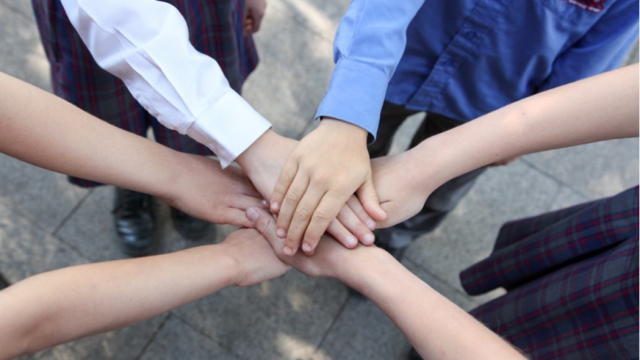 Principal’s Report