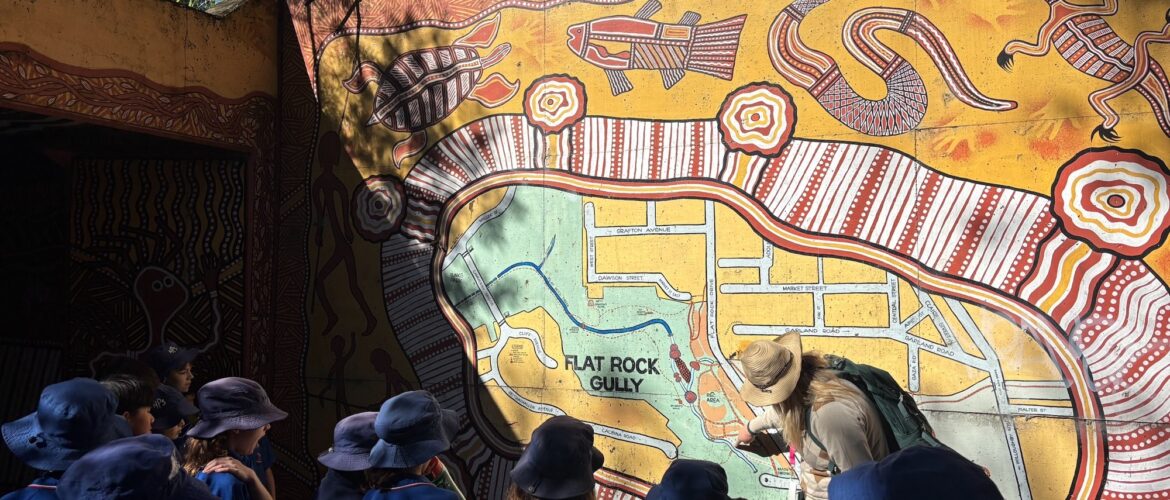 Year 5’s exploration of Flat Rock Gully!