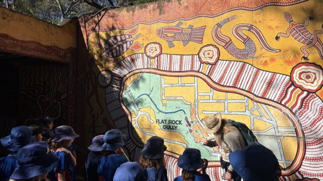 Year 5’s exploration of Flat Rock Gully!