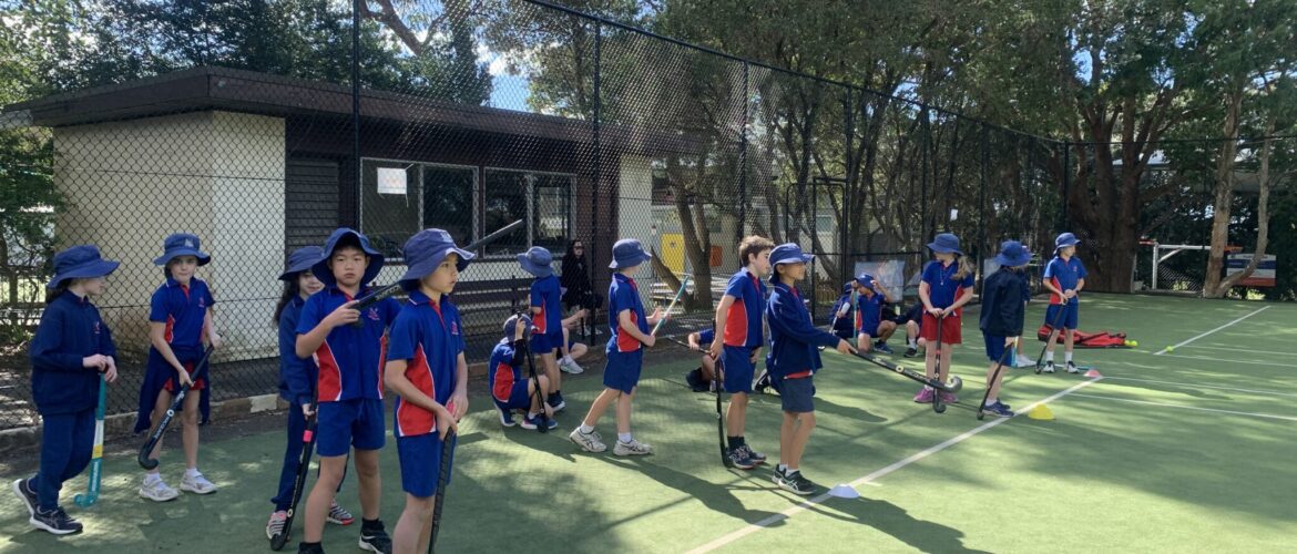 Stage 2 Hockey Clinic