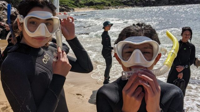 Snorkelling at Little Bay