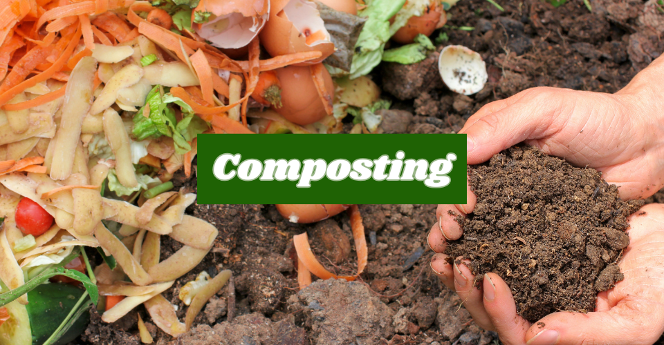 Compost More, Landfills Less