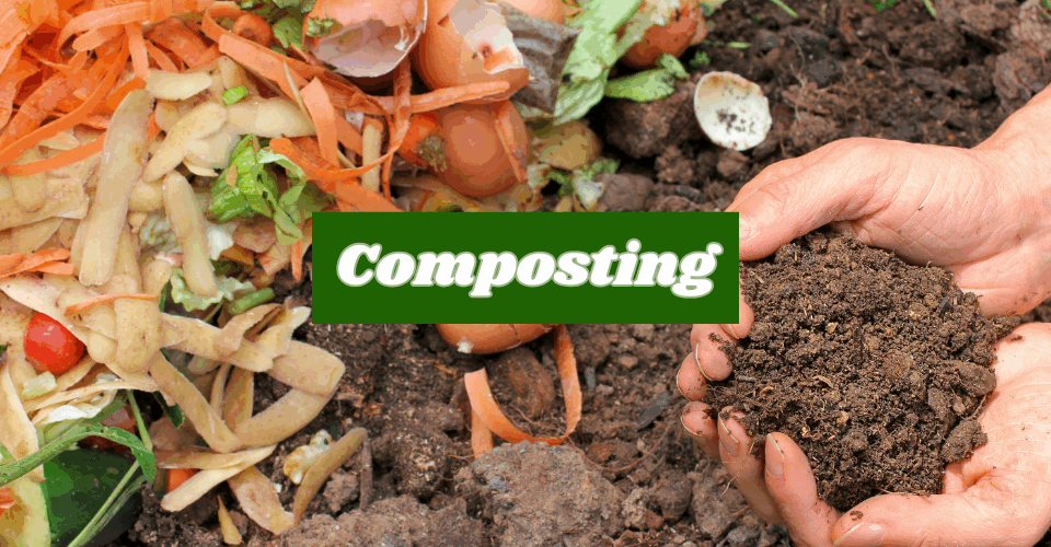 Compost More, Landfills Less