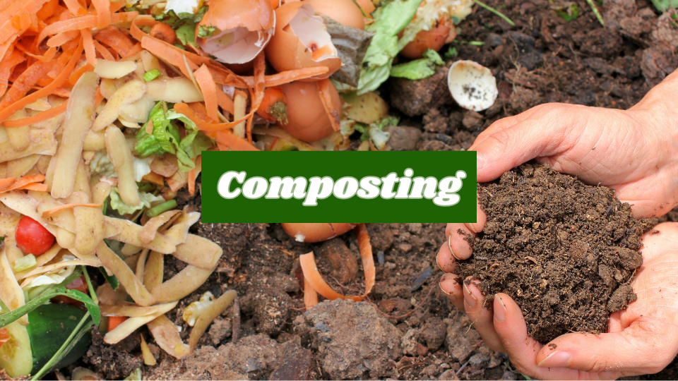 Compost More, Landfills Less
