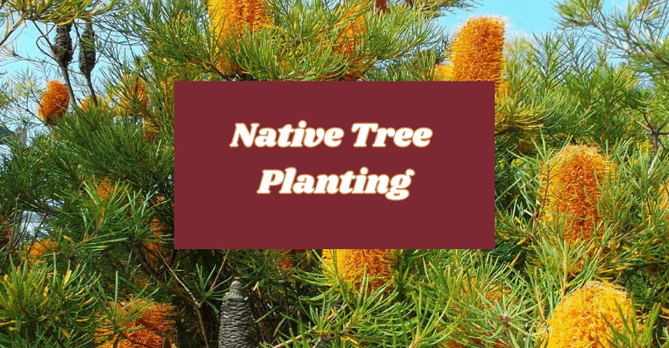 Native Tree Planting