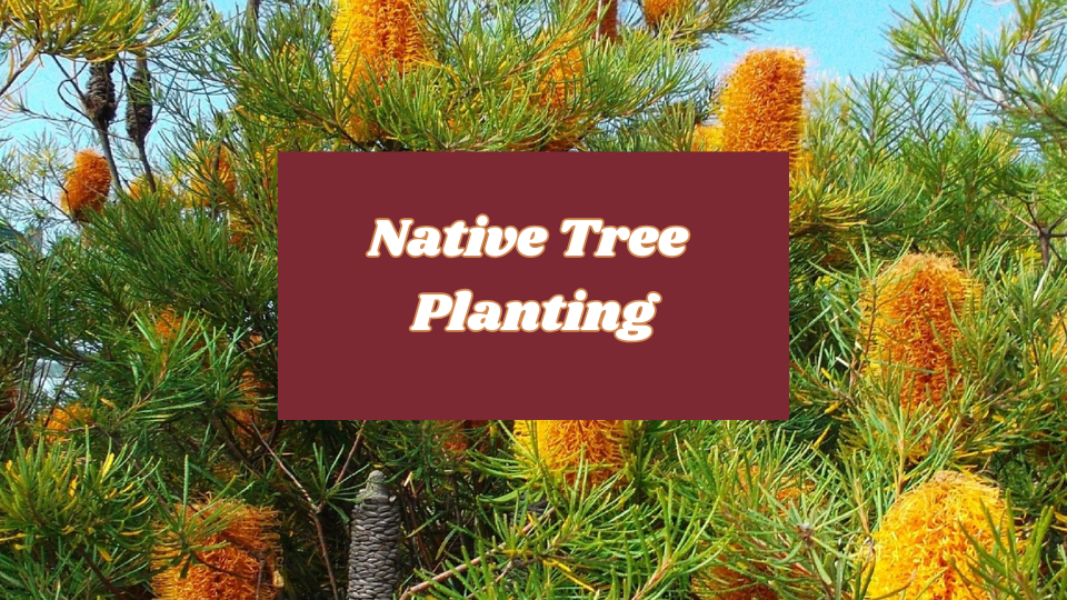 Native Tree Planting