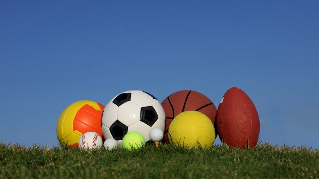 Term 4 Sport Registrations Open