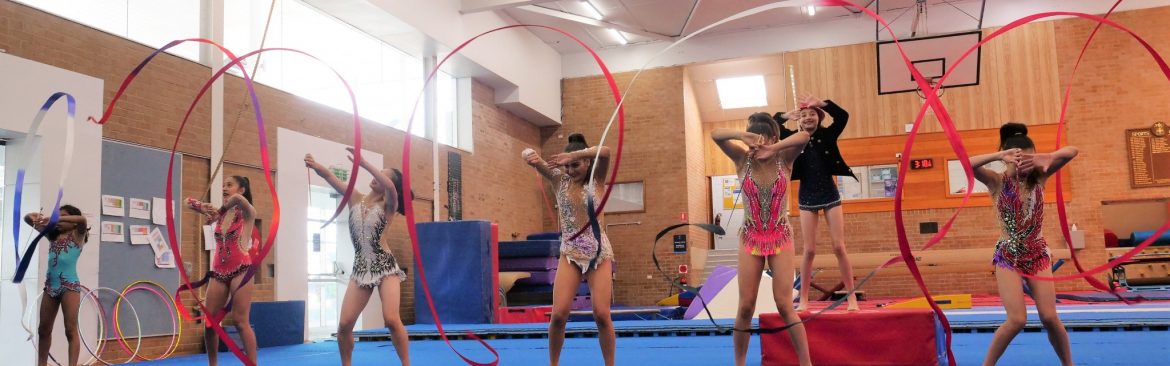 Gymnastics Holiday Fun Camp