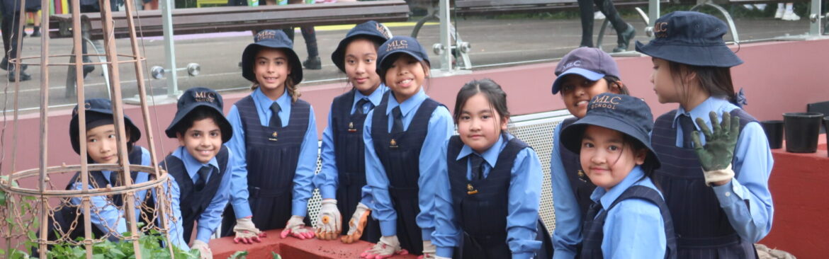 Junior School Kitchen Garden