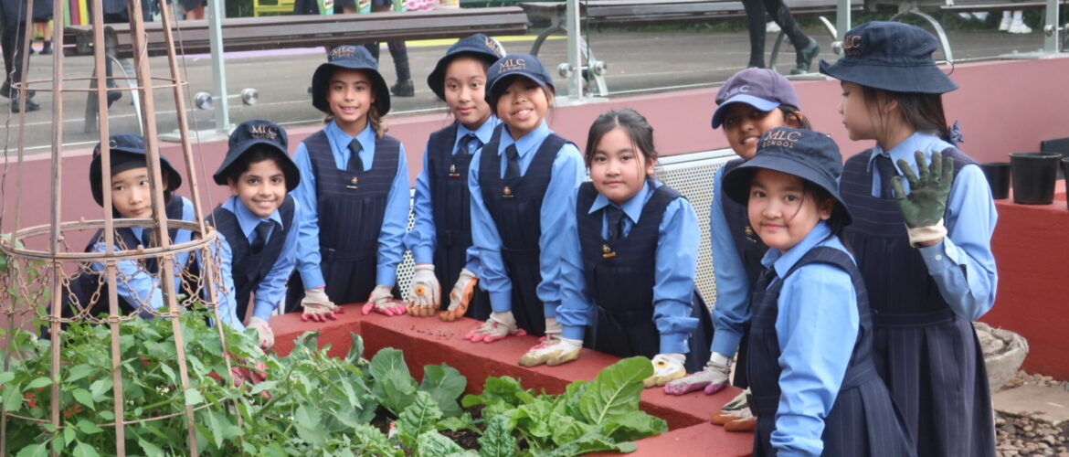 Junior School Kitchen Garden