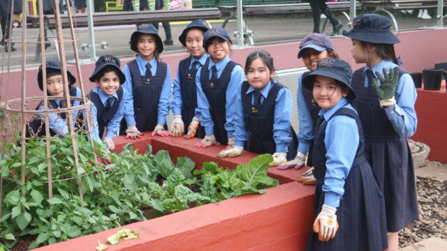 Junior School Kitchen Garden