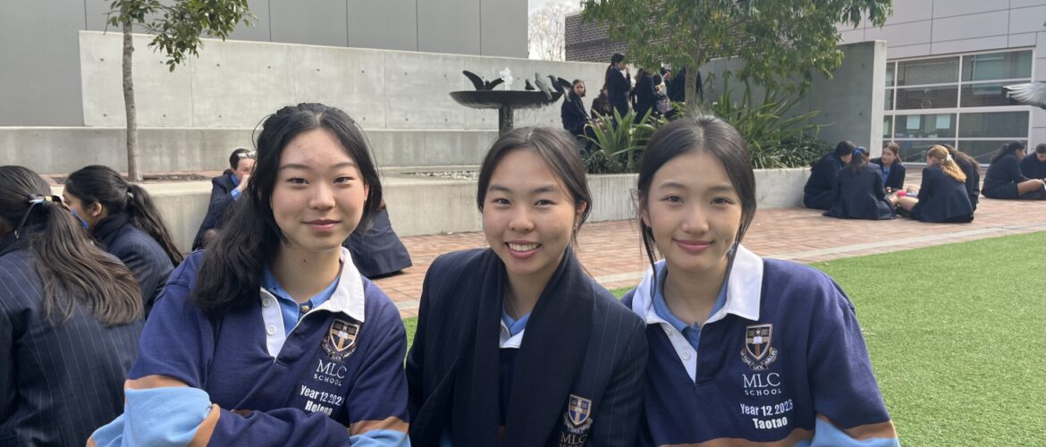 Year 12