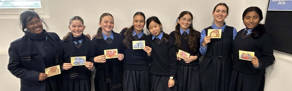 Year 7