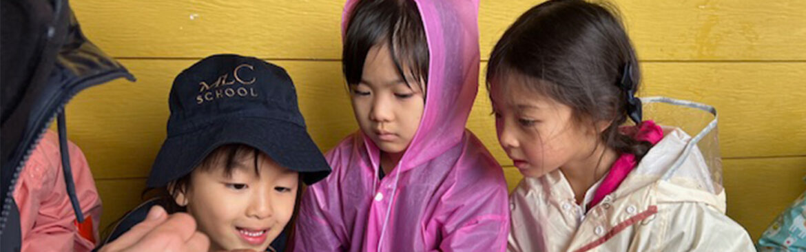 Kindergarten’s Visit to Calmsley City Farm