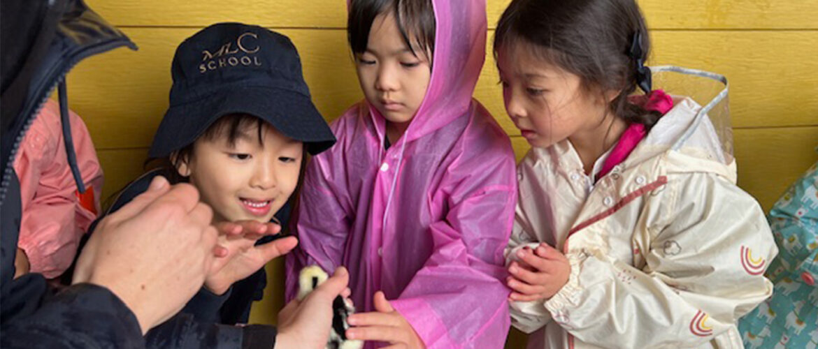 Kindergarten&#8217;s Visit to Calmsley City Farm