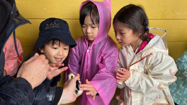 Kindergarten&#8217;s Visit to Calmsley City Farm