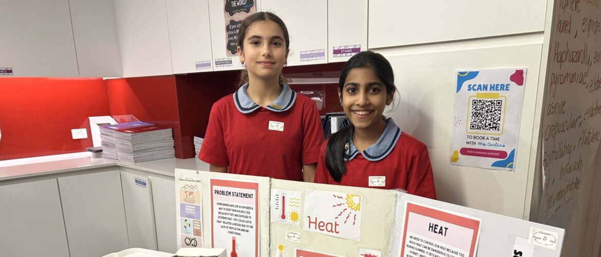Year 6 Showcase