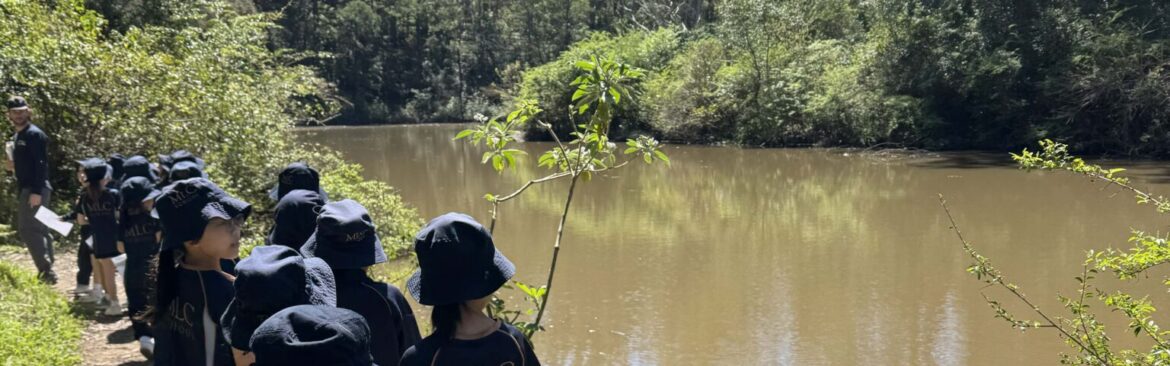 Year 1 Explore Lane Cove National Park