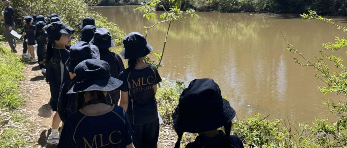 Year 1 Explore Lane Cove National Park