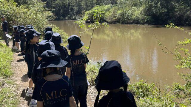 Year 1 Explore Lane Cove National Park