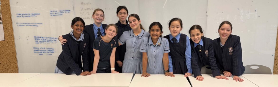 Model United Nations New Co-curricular Program