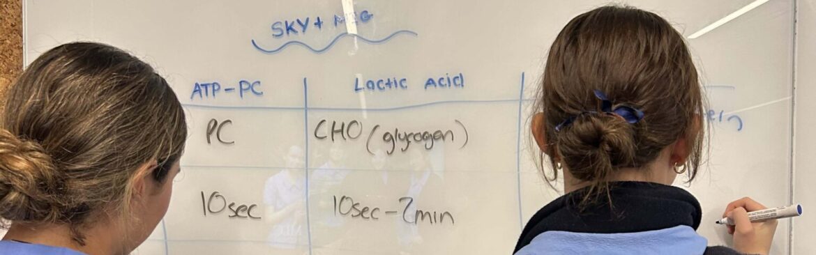 Personal Development, Health and Physical Education Wrap Up