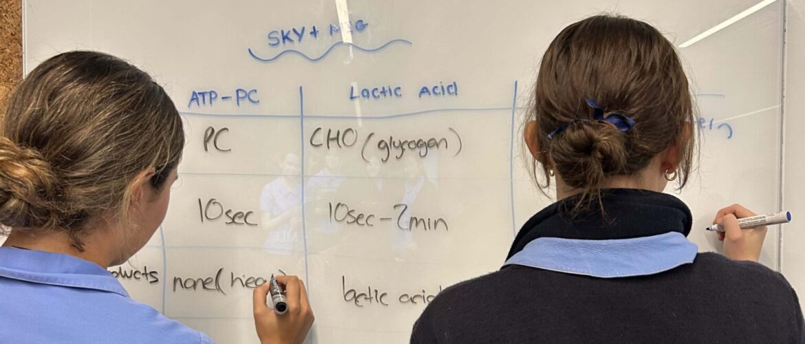 Personal Development, Health and Physical Education Wrap Up