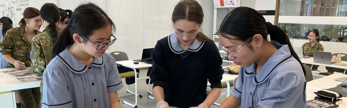 Year 8 Look at Chicken Wings in a new Light