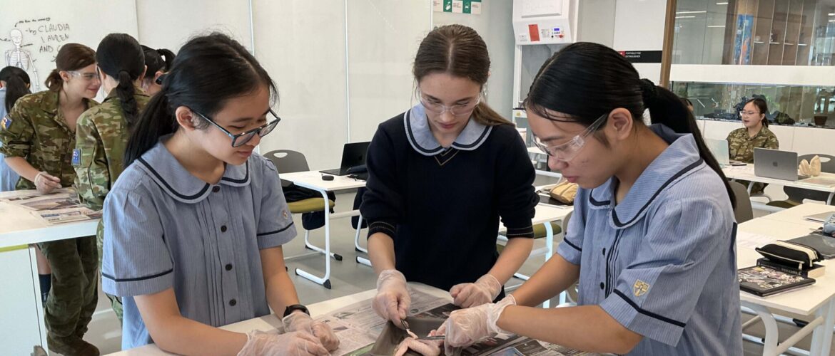 Year 8 Look at Chicken Wings in a new Light