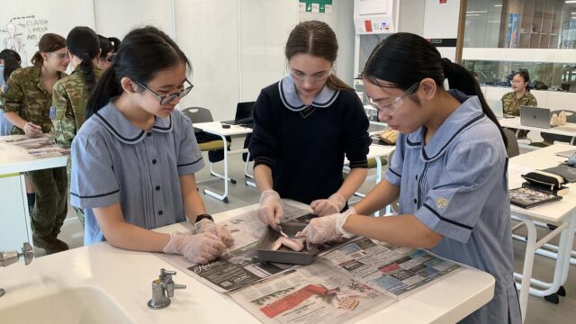 Year 8 Look at Chicken Wings in a new Light