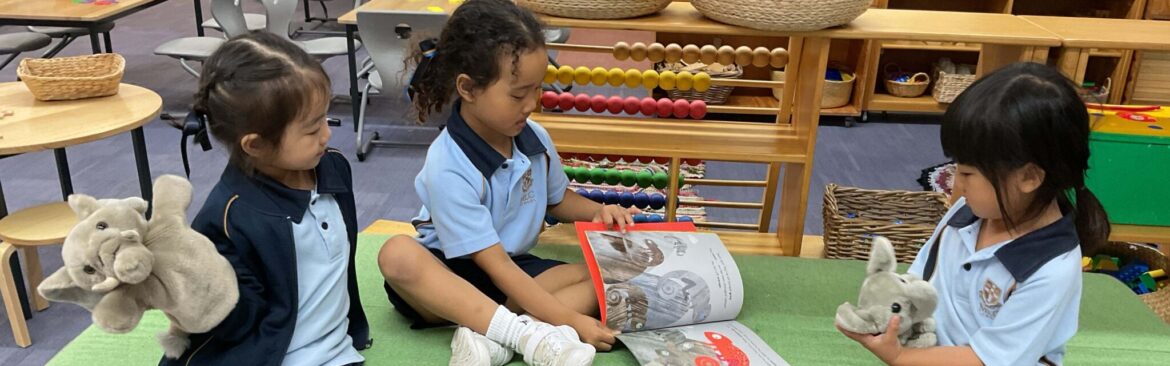 Pre-Kindergarten and Interactive Language Development