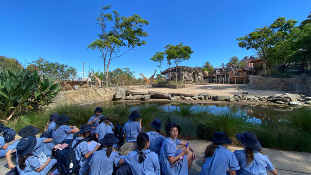 Year 6 Visit to Taronga Zoo
