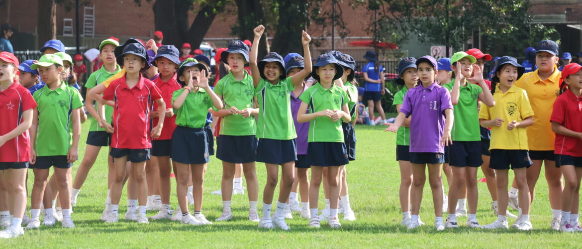 From the Head of Junior School