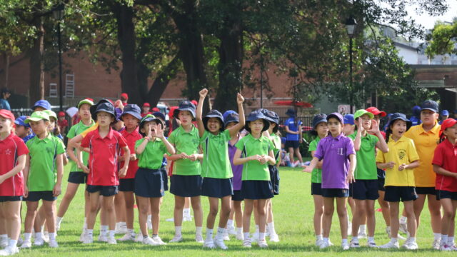 From the Head of Junior School