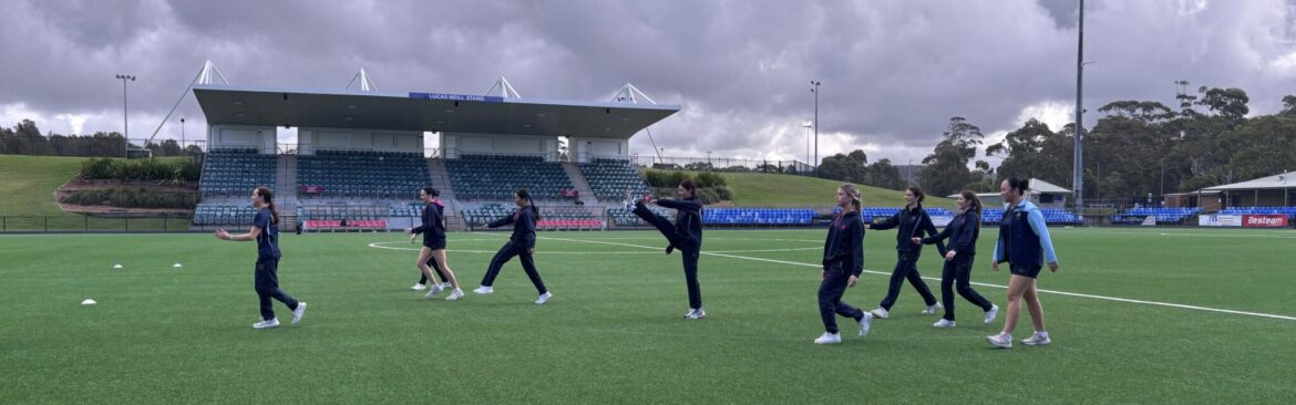 Depth Study for Year 11 Health and Movement Science