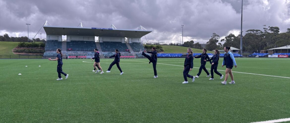 Depth Study for Year 11 Health and Movement Science