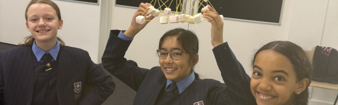 Year 7 Pyramid-Making Challenge!