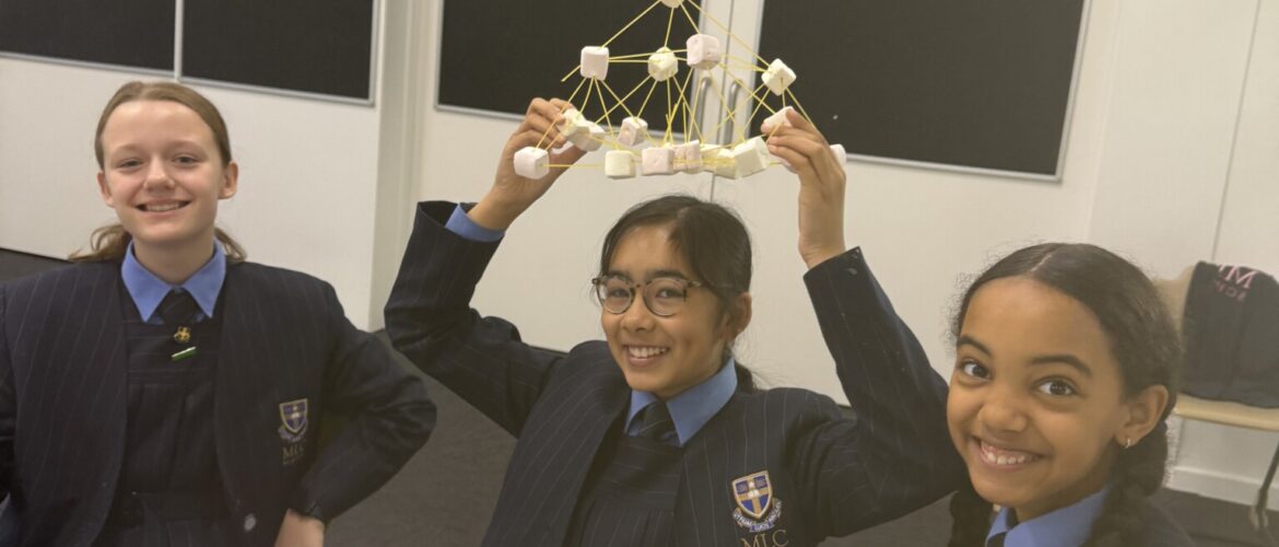 Year 7 Pyramid-Making Challenge!