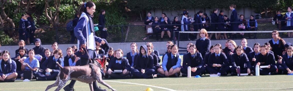 Year 9