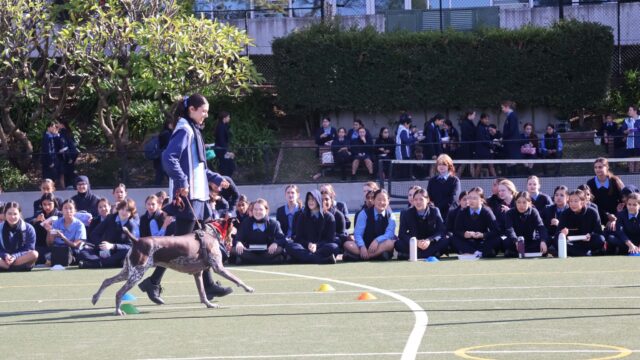 Year 9