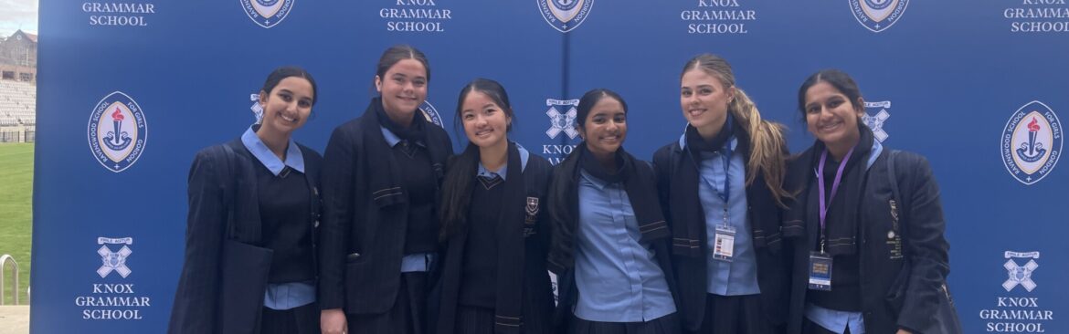 Year 11