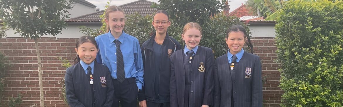 Junior Ethics Olympiad