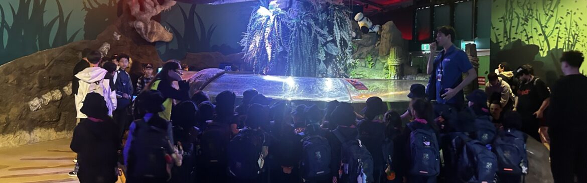 Year 2 Visit SEA LIFE Sydney Aquarium