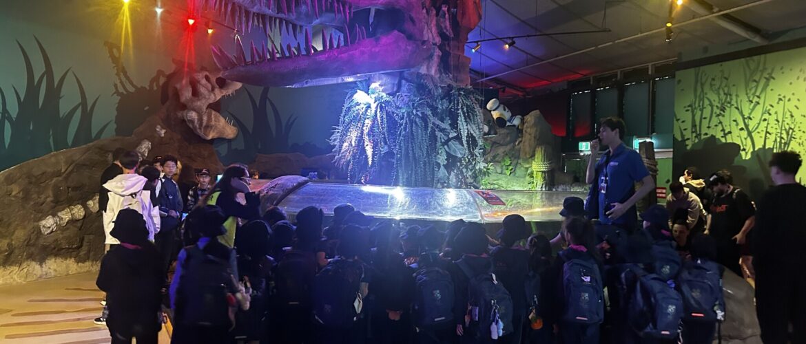 Year 2 Visit SEA LIFE Sydney Aquarium