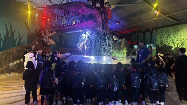 Year 2 Visit SEA LIFE Sydney Aquarium