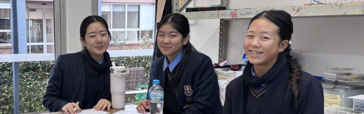 Year 8