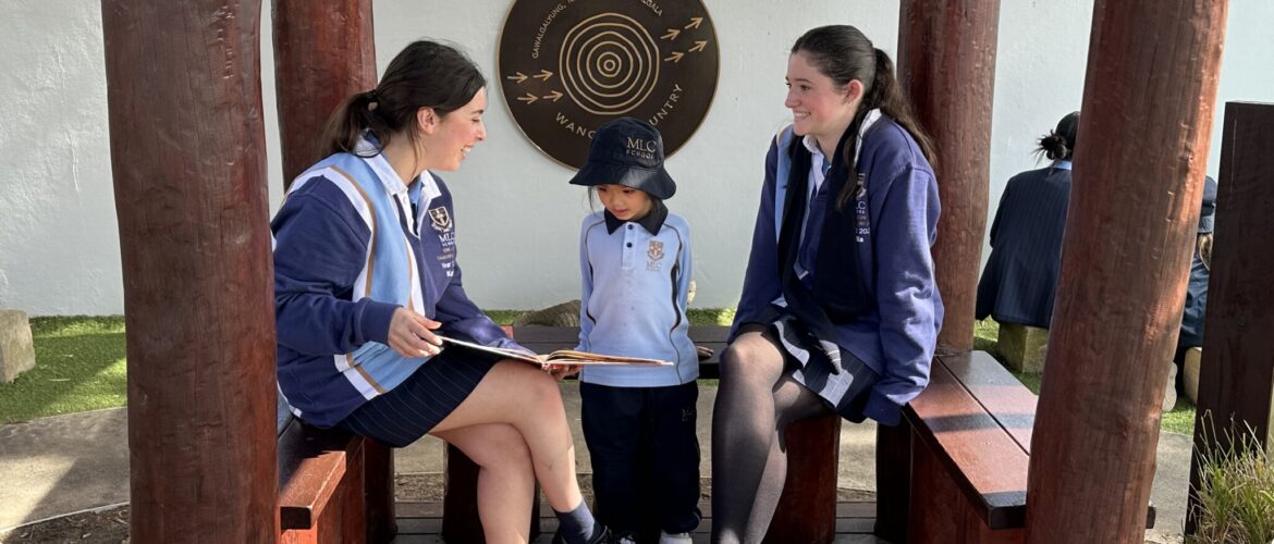 Year 12 Psychology students visit Pre-Kindergarten