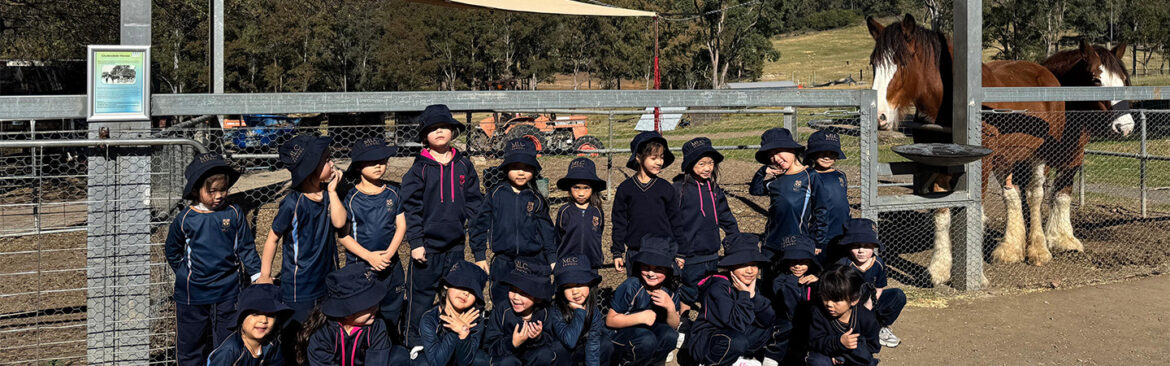 Kindergarten Experiences Life On the Farm