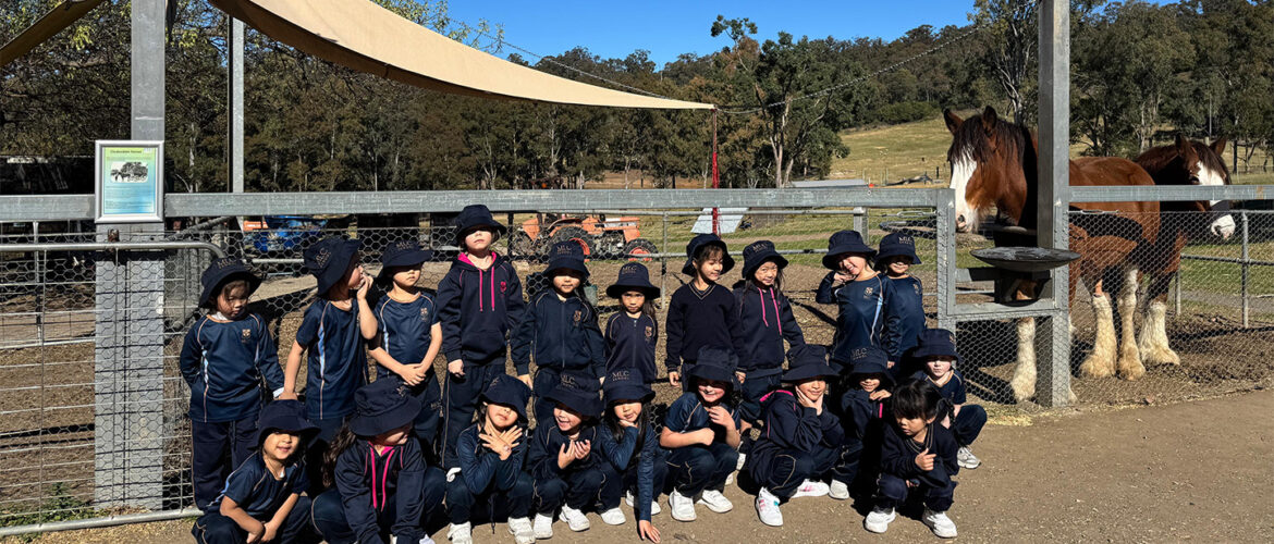 Kindergarten Experiences Life On the Farm