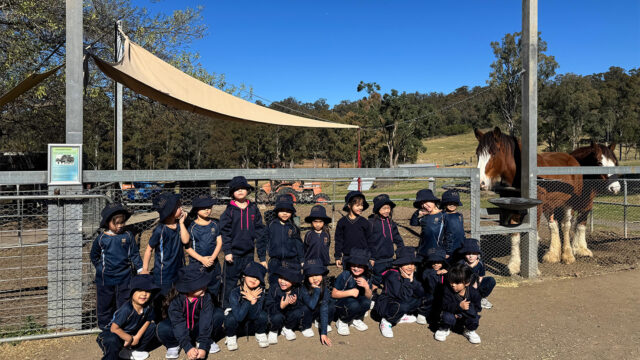 Kindergarten Experiences Life On the Farm